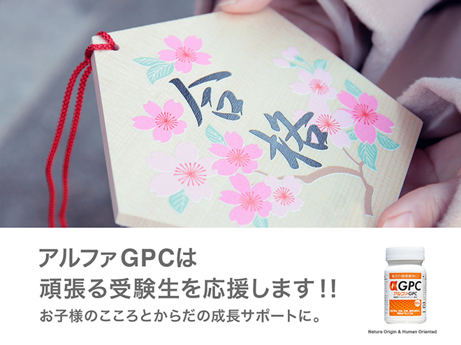 受験生にアルファGPC