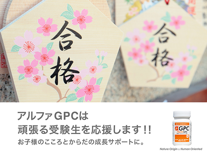 受験生へのエール