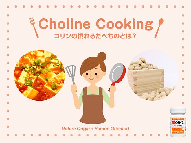 コリンの摂れるたべもの　麻婆豆腐