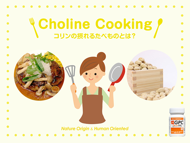 コリンの摂れるたべもの　豆腐ハンバーグ