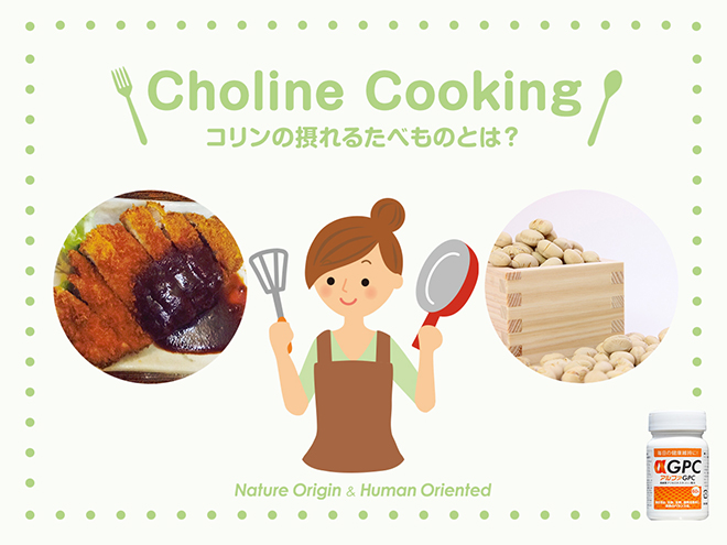 コリンの摂れるたべもの　味噌カツ