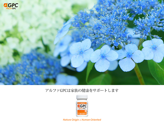 あじさいを見に行こう