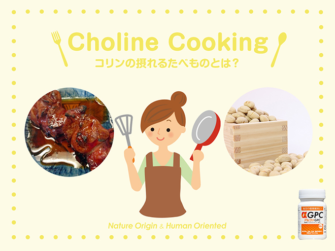 コリンの摂れる食べ物　鶏レバー