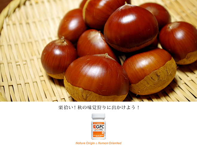 秋の味覚狩りに出かけよう