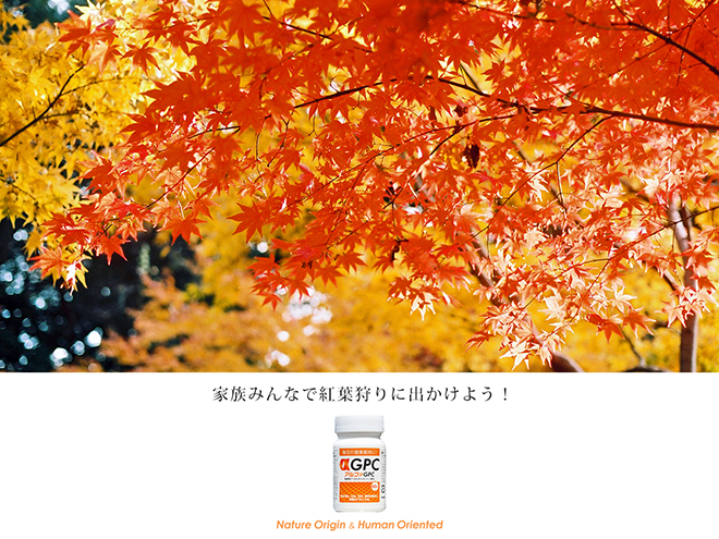 紅葉狩りに出かけよう