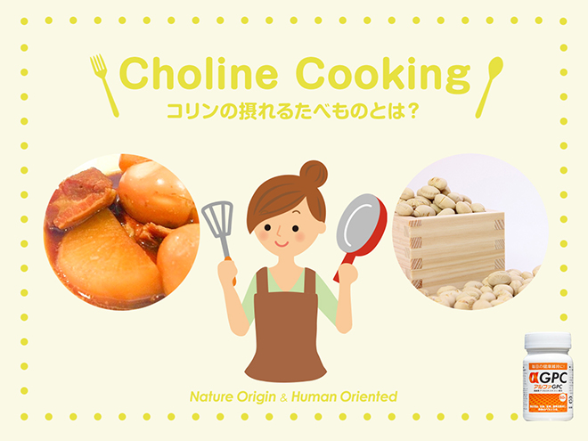 コリンの摂れる食べ物　鶏大根