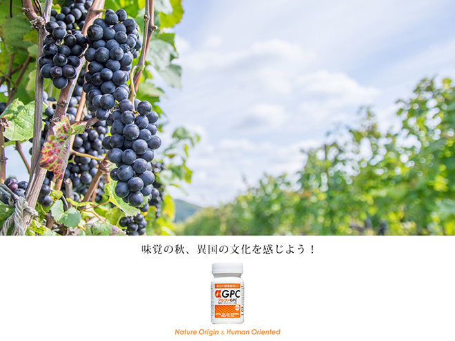 異国の食文化に親しもう