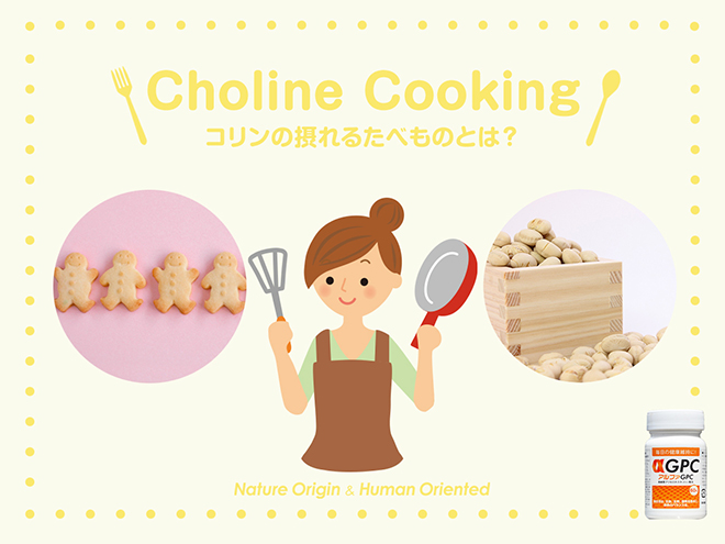 コリンの摂れる食べ物　ジンジャークッキー