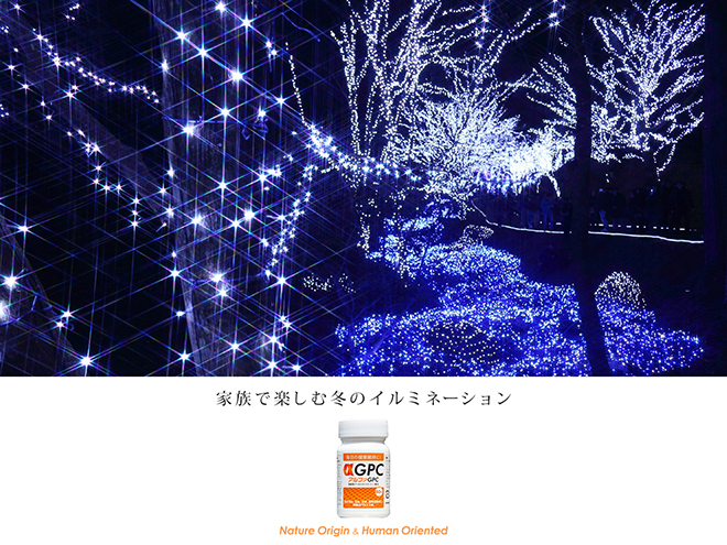 家族で冬のイルミネーションを楽しもう