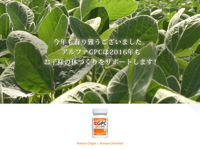 本年もありがとうございました