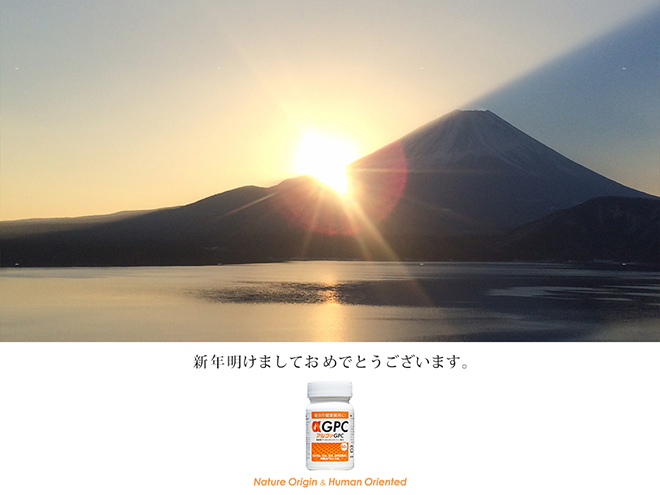 新年あけましておめでとうございます