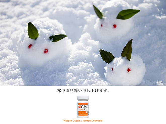 寒中お見舞い申し上げます