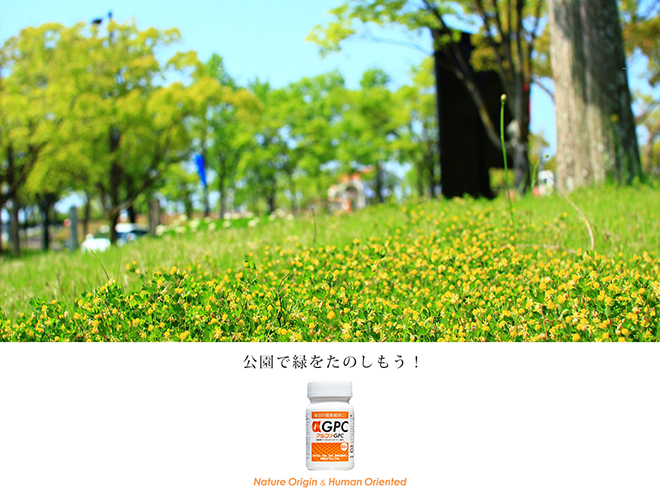 公園でみどりを楽しもう