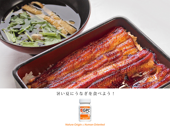 うなぎを食べよう