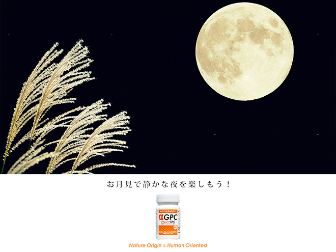 お月見を楽しもう