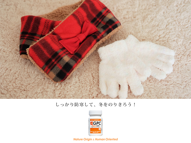 寒い冬を乗り切ろう