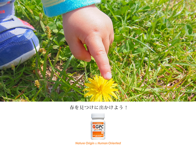 春を見つけに出かけよう！