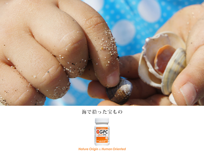 海で宝物を見つけよう！